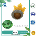 Fadogia agrestis tige Powder Fadogia agrestis Extrait